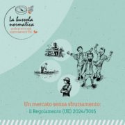 Regolamento UE 2024/3015