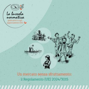 Regolamento UE 2024/3015