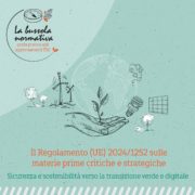 Regolamento UE 2024/1252
