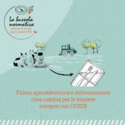 EUDR deforestazione